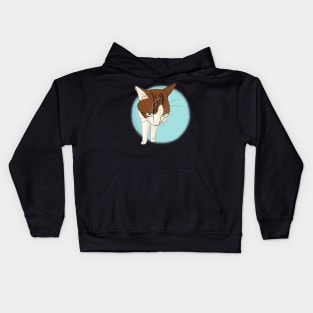 Soya the cat - grumpy Kids Hoodie